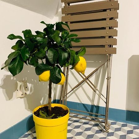La Maison De Nina Sens Dış mekan fotoğraf
