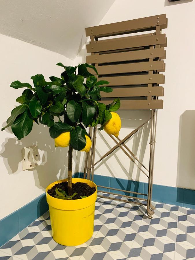 La Maison De Nina Sens Dış mekan fotoğraf